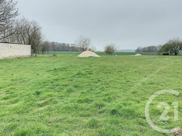 terrain - LA CAURE - 51