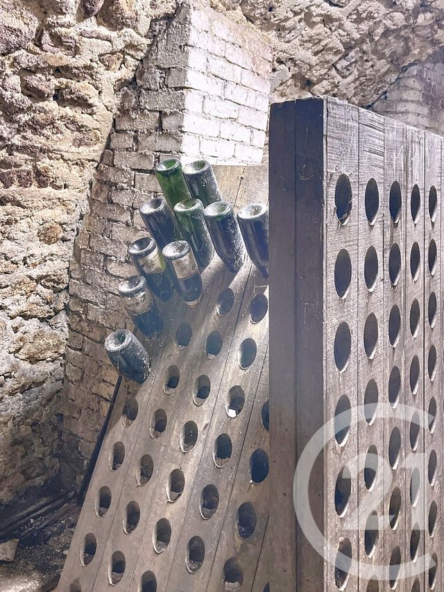 Afficher la photo en grand maison à vendre - 7 pièces - 179.36 m2 - DAMERY - 51 - CHAMPAGNE-ARDENNE - Century 21 Martinot Immobilier