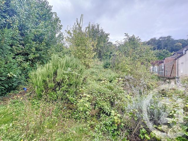 maison à vendre - 5 pièces - 231.9 m2 - AVIZE - 51 - CHAMPAGNE-ARDENNE - Century 21 Martinot Immobilier